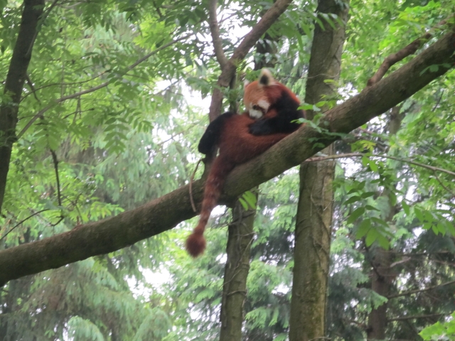 ZOO Bojnice
