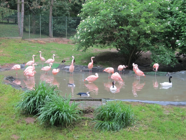 ZOO Bojnice