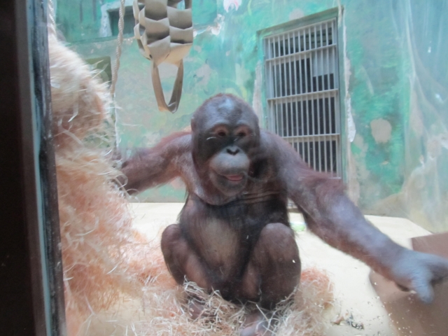 ZOO Bojnice